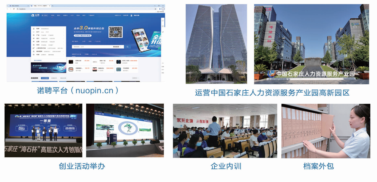 诺亚业绩.png