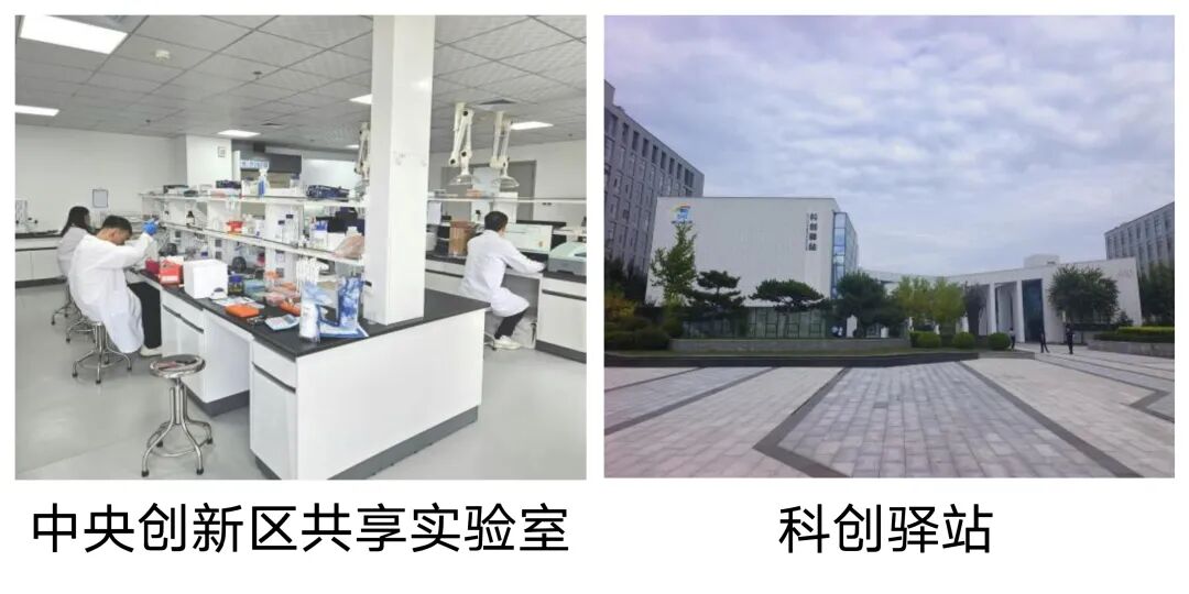 1761374687669367.jpg af13bbbb3f21f5c6fa93e394251dba94.jpg